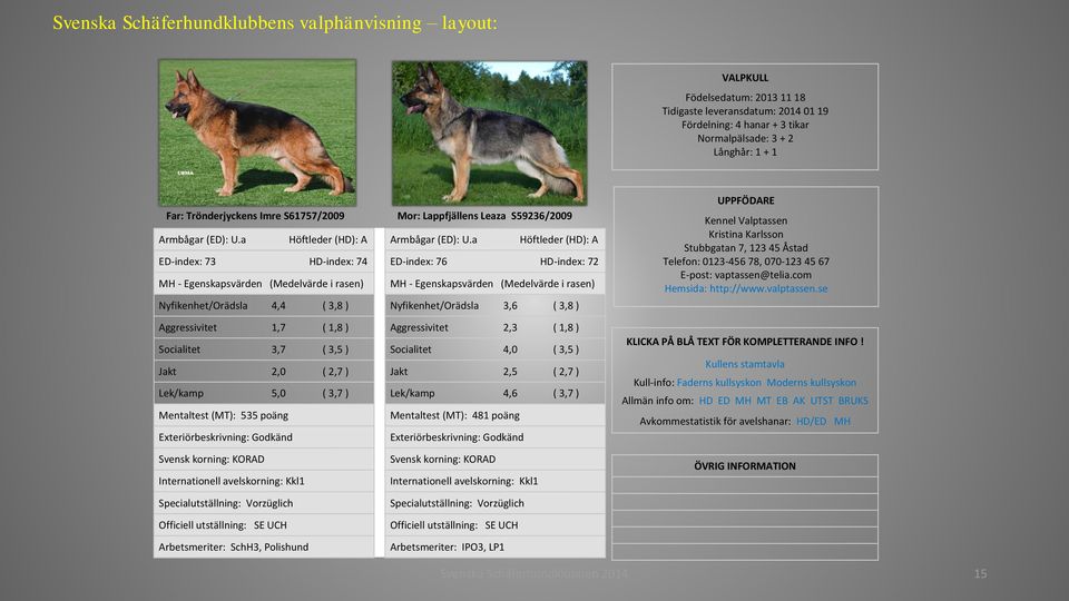 a Höftleder (HD): A ED-index: 73 HD-index: 74 ED-index: 76 HD-index: 72 MH - Egenskapsvärden (Medelvärde i rasen) MH - Egenskapsvärden (Medelvärde i rasen) Nyfikenhet/Orädsla 4,4 ( 3,8 )