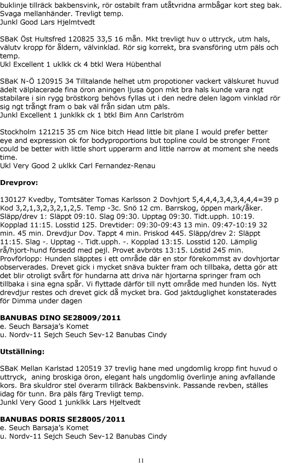 Ukl Excellent 1 uklkk ck 4 btkl Wera Hübenthal SBaK N-Ö 120915 34 Tilltalande helhet utm propotioner vackert välskuret huvud ädelt välplacerade fina öron aningen ljusa ögon mkt bra hals kunde vara