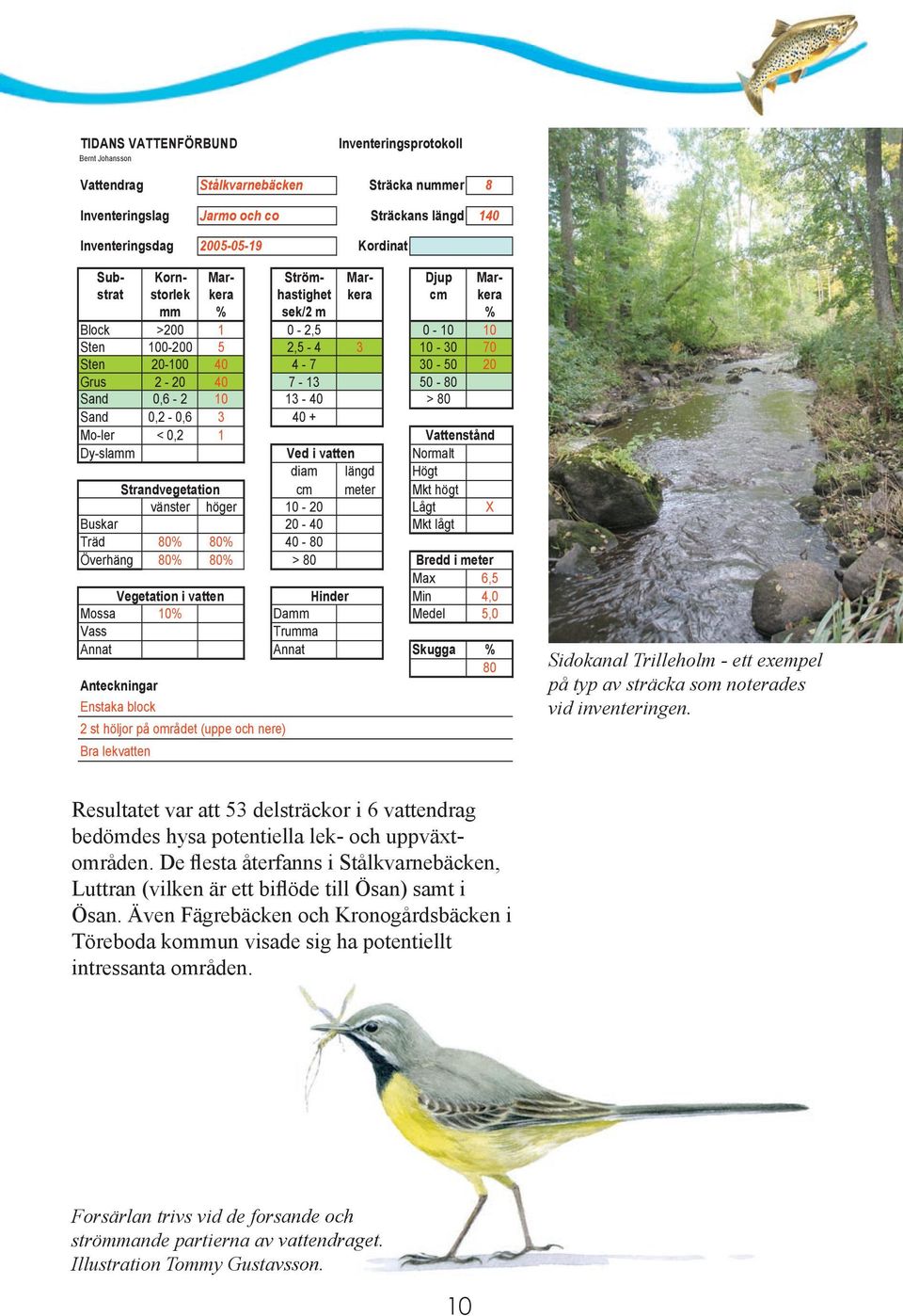 0,6-2 10 13-40 > 80 Sand 0,2-0,6 3 40 + Mo-ler < 0,2 1 Vattenstånd Dy-slamm Ved i vatten Normalt diam längd Högt Strandvegetation cm meter Mkt högt vänster höger 10-20 Lågt X Buskar 20-40 Mkt lågt