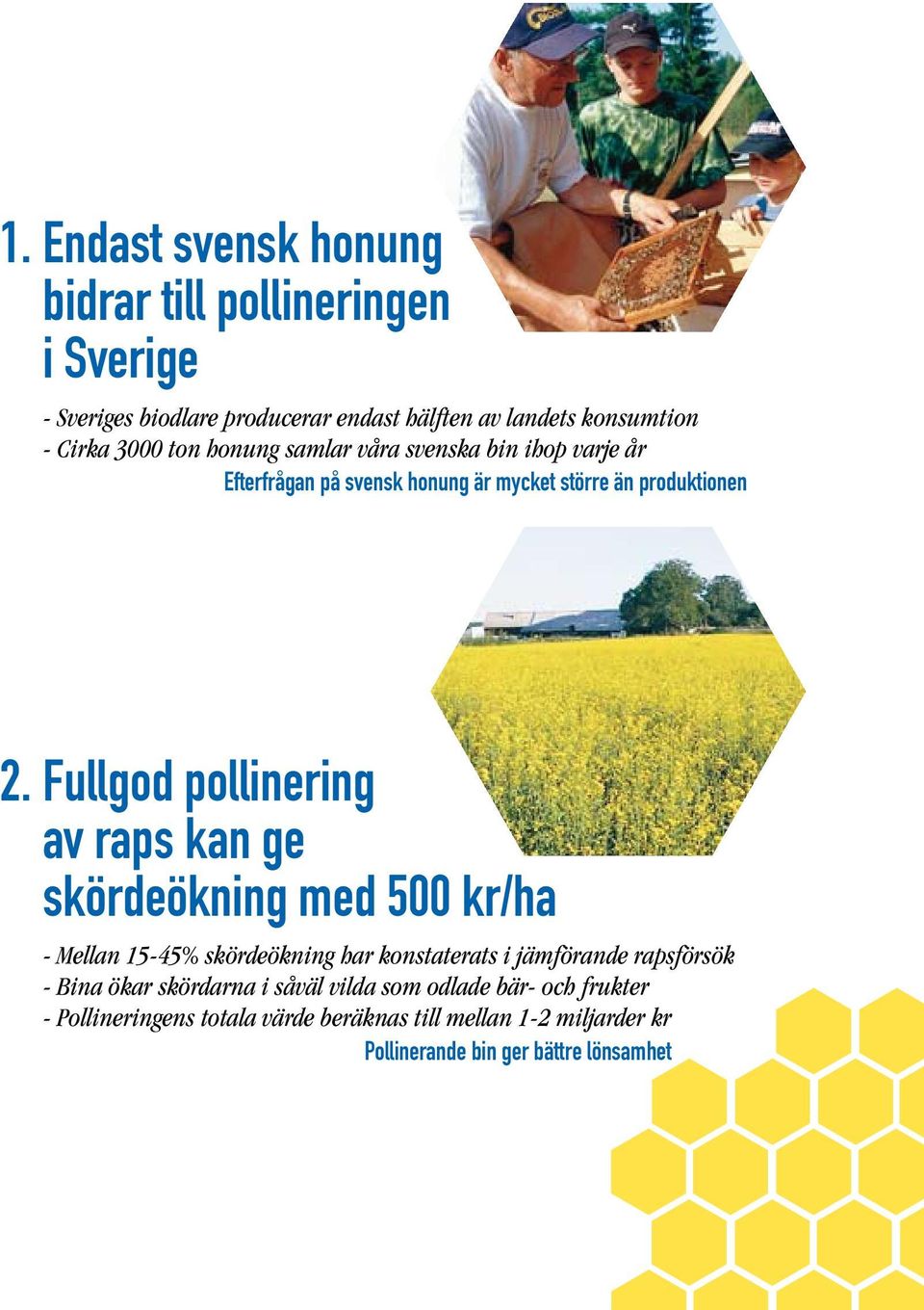 Fullgod pollinering av raps kan ge skördeökning med 500 kr/ha - Mellan 15-45% skördeökning har konstaterats i jämförande rapsförsök - Bina