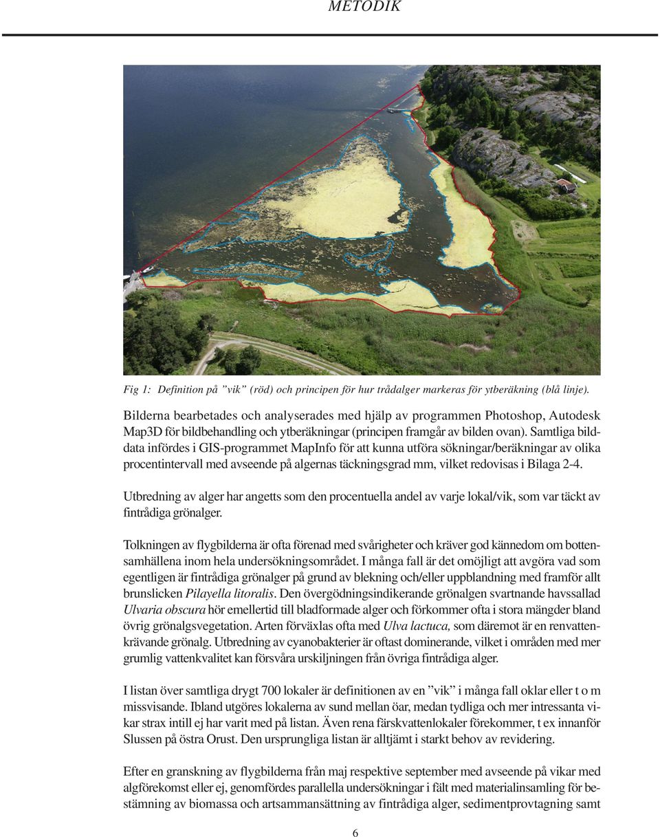 Samtliga bilddata infördes i GIS-programmet MapInfo för att kunna utföra sökningar/beräkningar av olika procentintervall med avseende på algernas täckningsgrad mm, vilket redovisas i Bilaga 2-4.