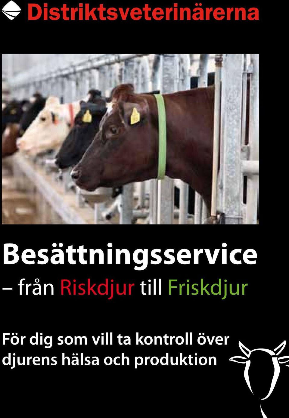 dig som vill ta kontroll