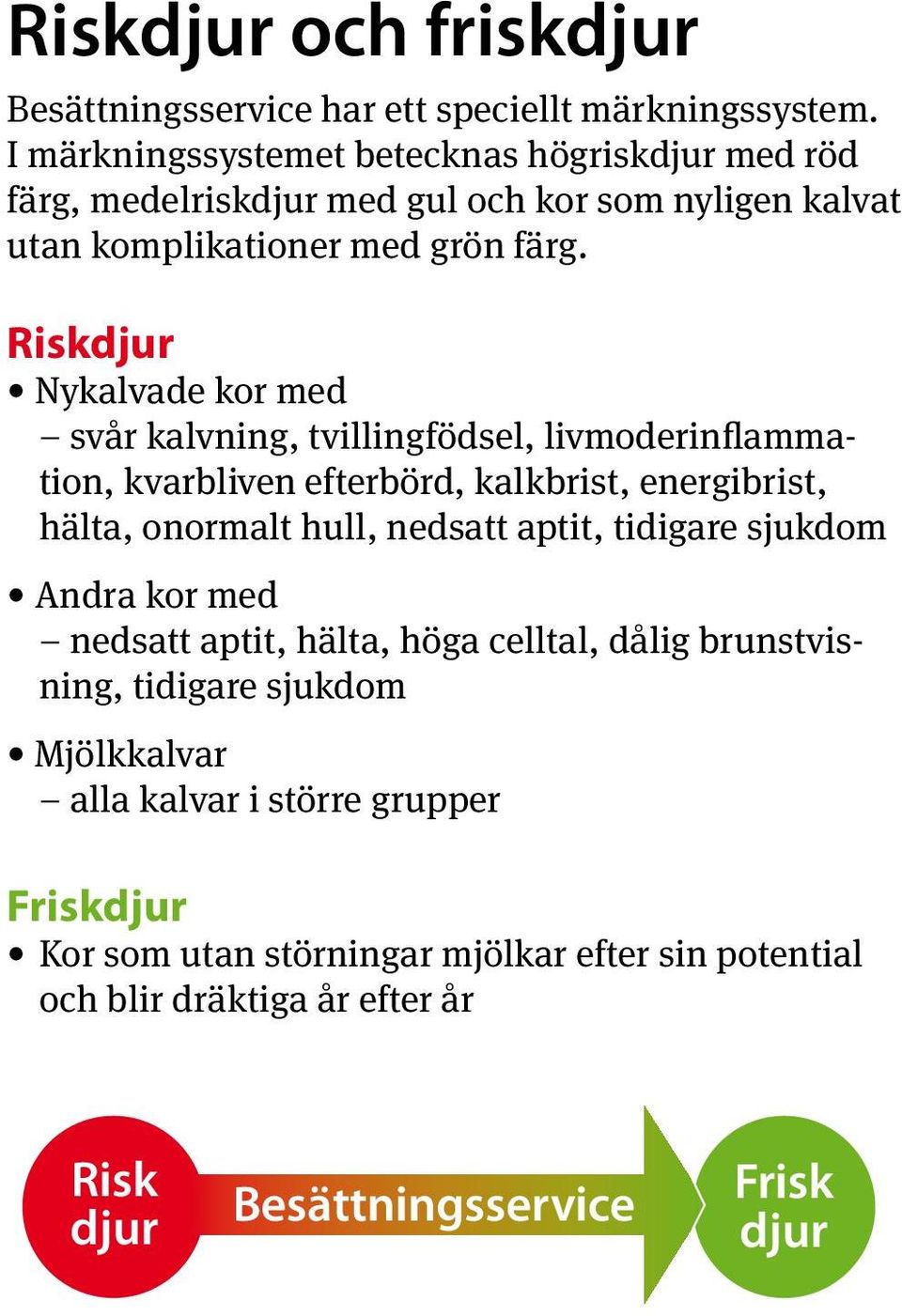 Riskdjur Nykalvade kor med svår kalvning, tvillingfödsel, livmoderinflammation, kvarbliven efterbörd, kalkbrist, energibrist, hälta, onormalt hull, nedsatt aptit,