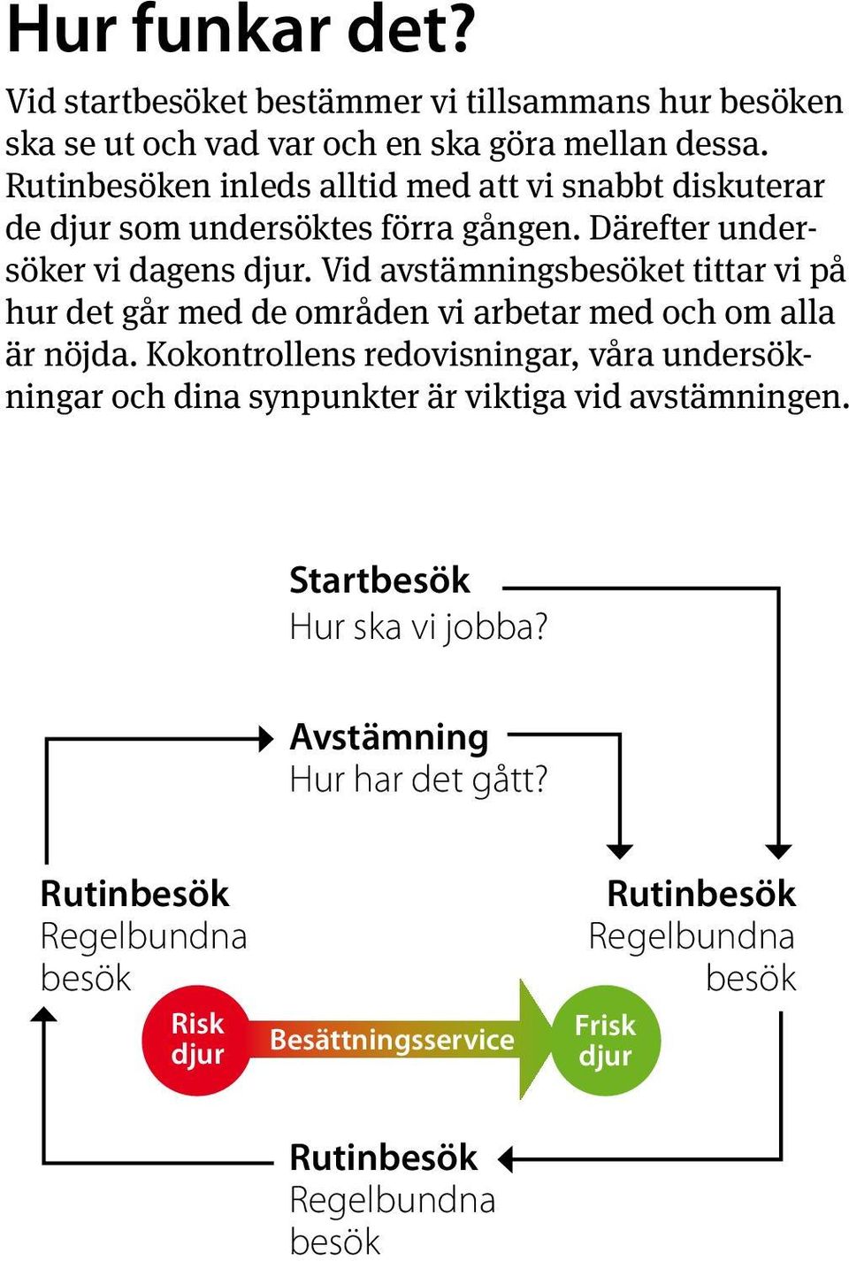 Vid avstämningsbesöket tittar vi på hur det går med de områden vi arbetar med och om alla är nöjda.