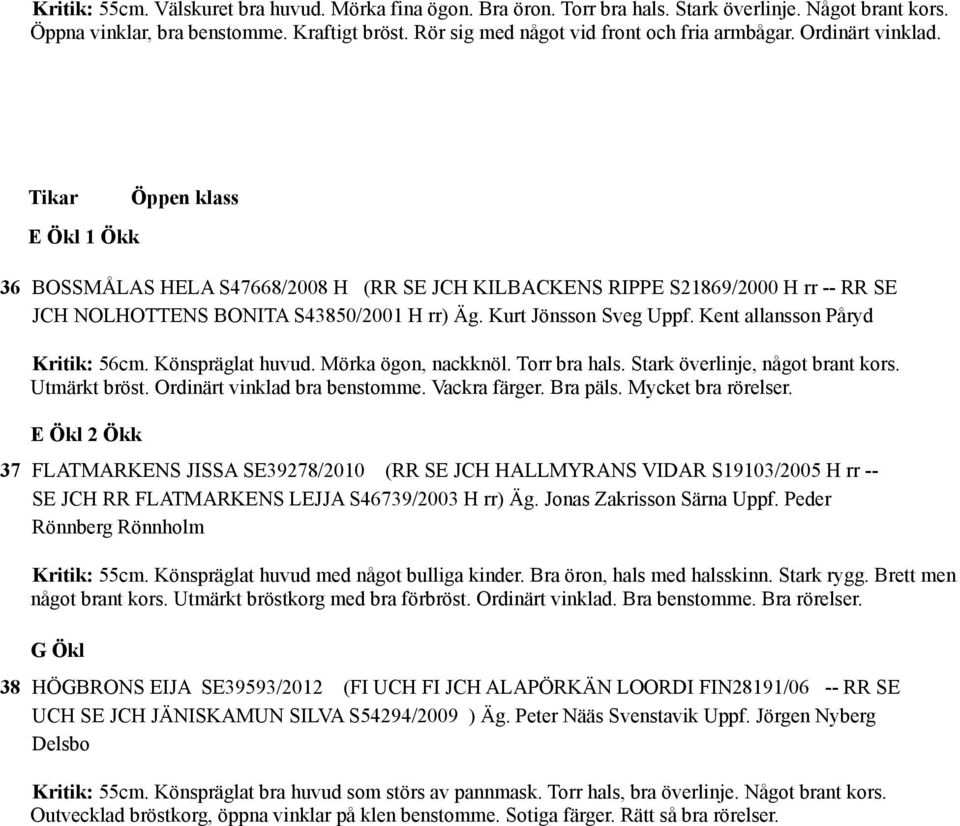 E Ökl 1 Ökk 36 BOSSMÅLAS HELA S47668/2008 H (RR SE JCH KILBACKENS RIPPE S21869/2000 H rr -- RR SE JCH NOLHOTTENS BONITA S43850/2001 H rr) Äg. Kurt Jönsson Sveg Uppf. Kent allansson Påryd Kritik: 56cm.