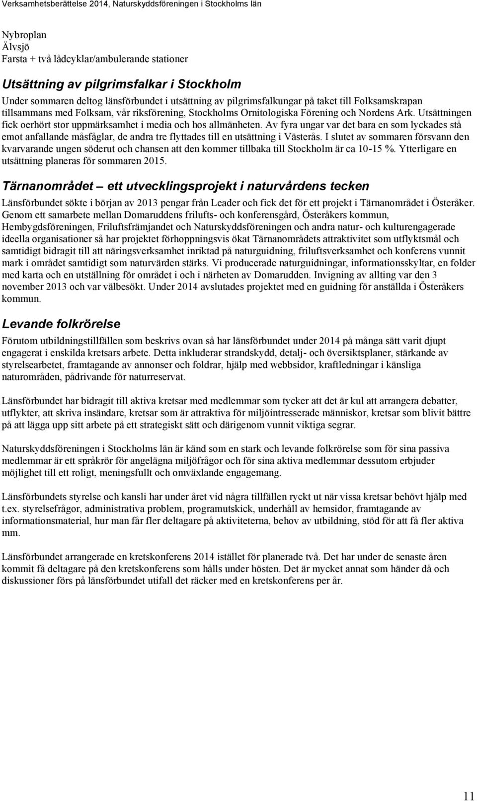 Av fyra ungar var det bara en som lyckades stå emot anfallande måsfåglar, de andra tre flyttades till en utsättning i Västerås.