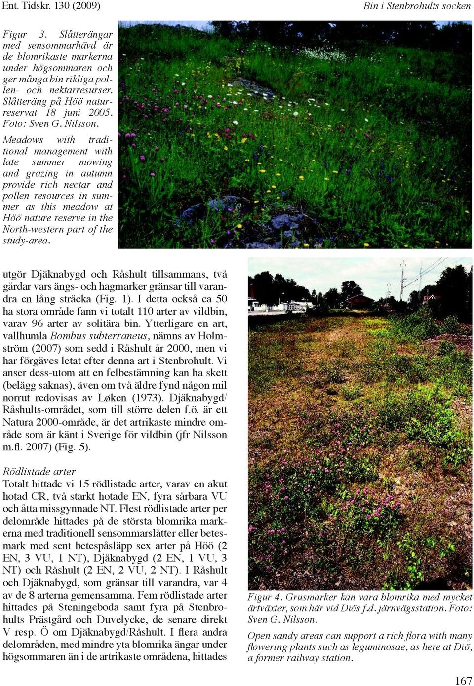 Meadows with traditional management with late summer mowing and grazing in autumn provide rich nectar and pollen resources in summer as this meadow at Höö nature reserve in the North-western part of