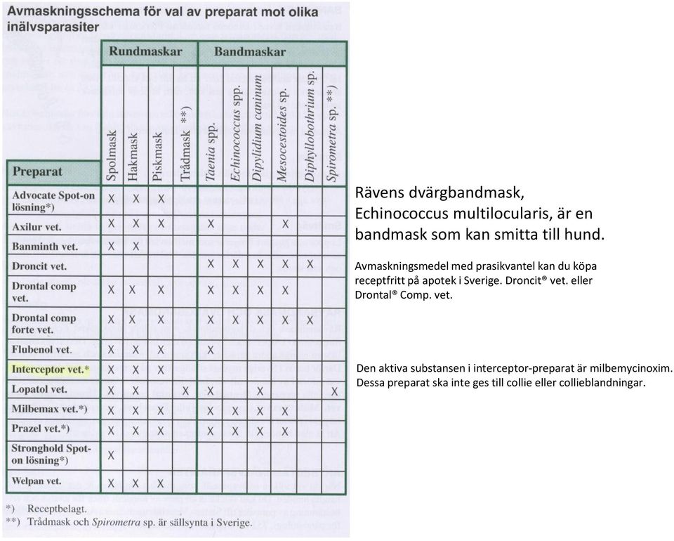 Avmaskningsmedel med prasikvantel kan du köpa receptfritt på apotek i Sverige.