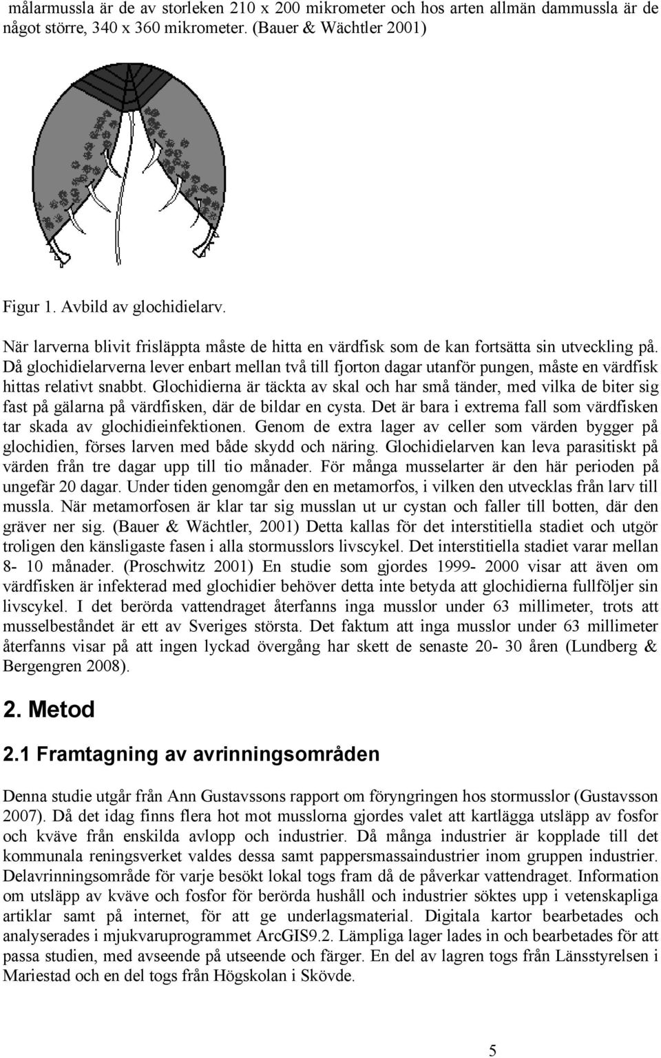 Då glochidielarverna lever enbart mellan två till fjorton dagar utanför pungen, måste en värdfisk hittas relativt snabbt.