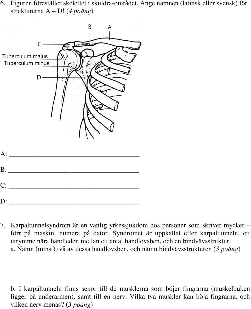 Syndromet är uppkallat efter karpaltunneln, ett utrymme nära handleden mellan ett an