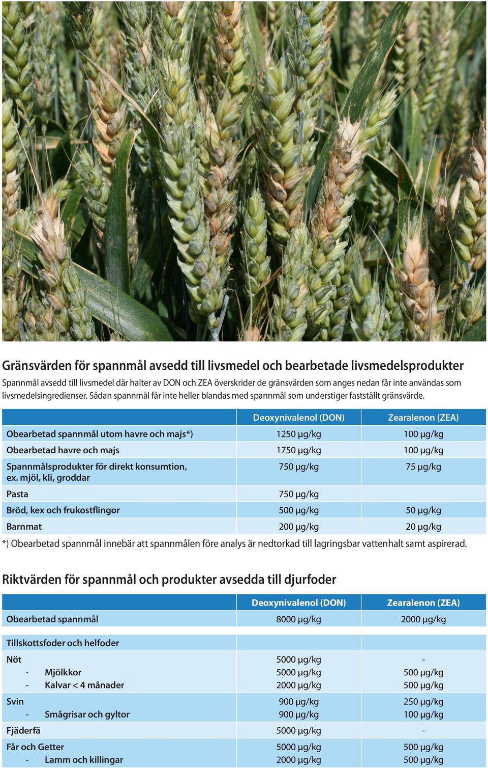 Deoxynivalenol (DON) Zearalenon (ZEA) Obearbetad spannmål utom havre och majs*) 1250 µg/kg 100 µg/kg Obearbetad havre och majs 1750 µg/kg 100 µg/kg Spannmålsprodukter för direkt konsumtion, ex.