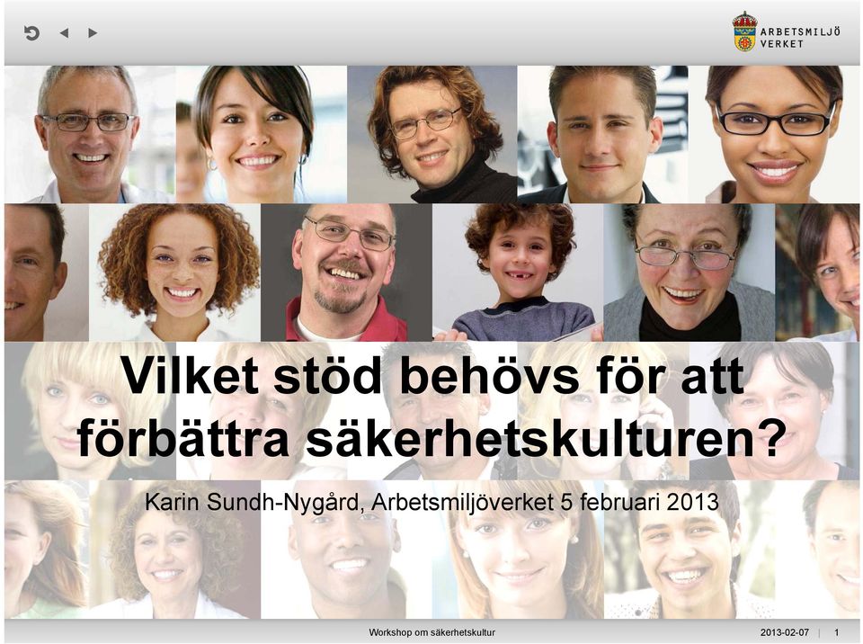Karin Sundh-Nygård, Arbetsmiljöverket
