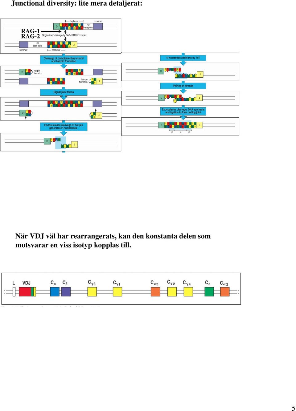 har rearrangerats, kan den konstanta