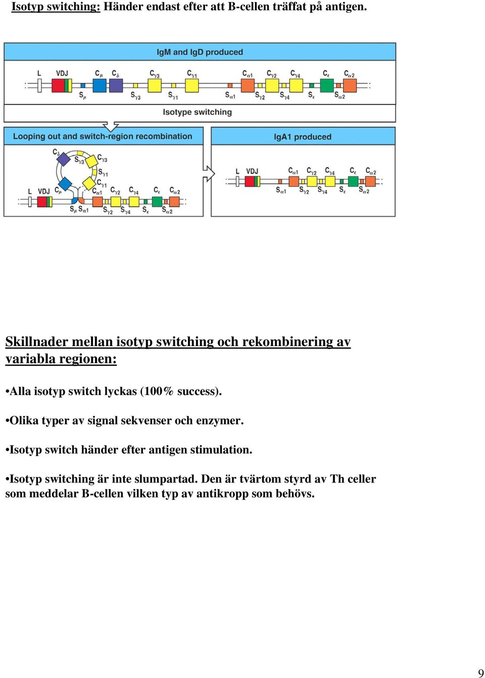 (100% success). Olika typer av signal sekvenser och enzymer.