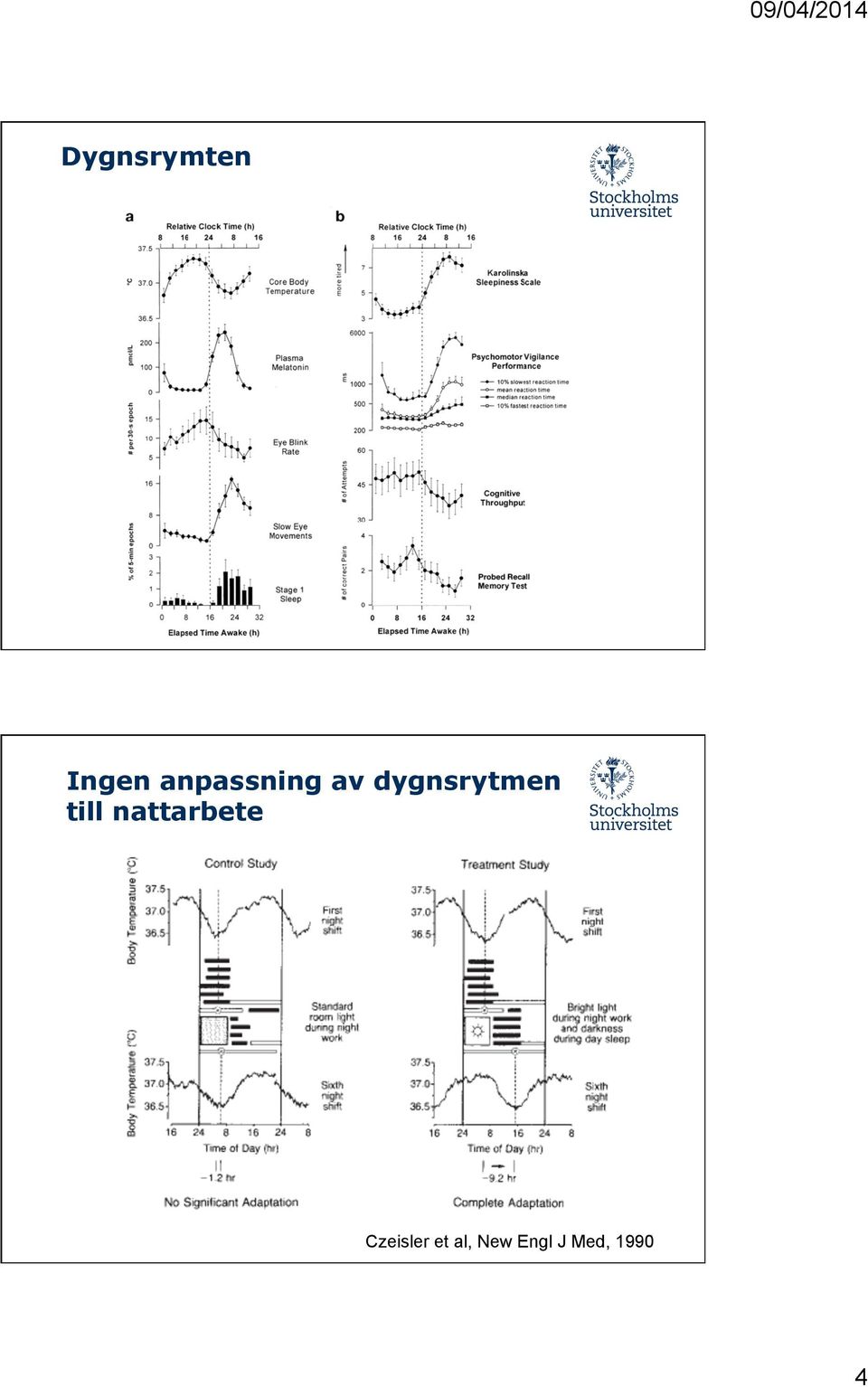 dygnsrytmen till