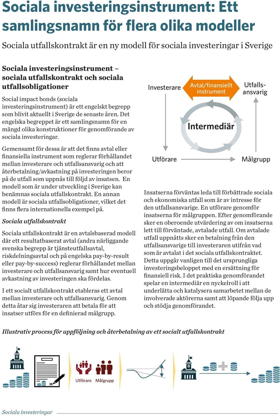 Det engelska begreppet är ett samlingsnamn för en mängd olika konstruktioner för genomförande av sociala investeringar.