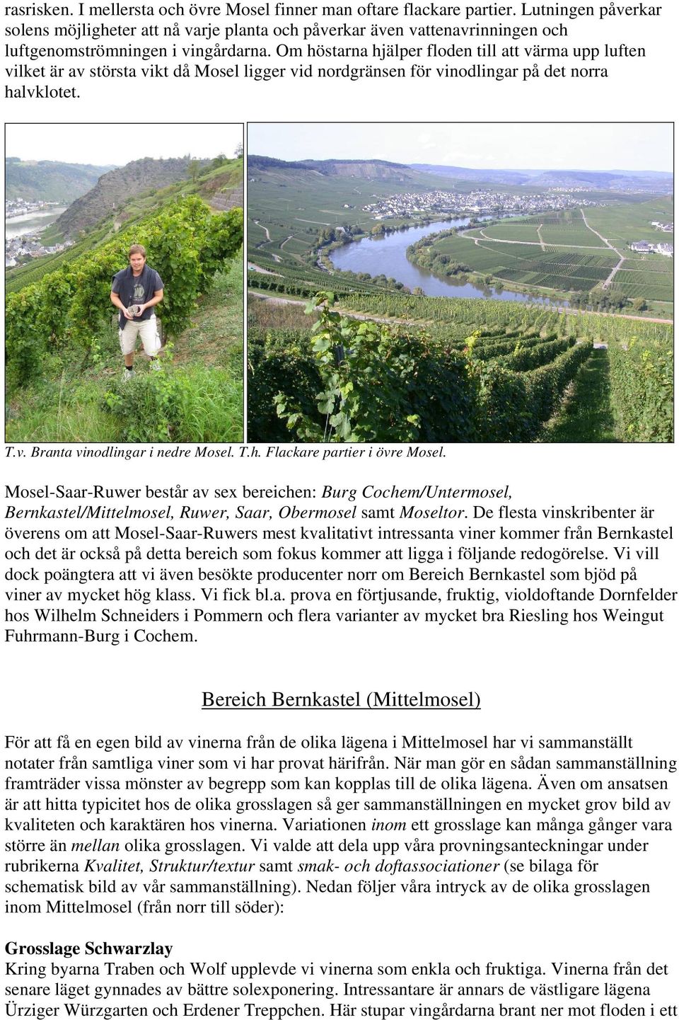 Om höstarna hjälper floden till att värma upp luften vilket är av största vikt då Mosel ligger vid nordgränsen för vinodlingar på det norra halvklotet. T.v. Branta vinodlingar i nedre Mosel. T.h. Flackare partier i övre Mosel.