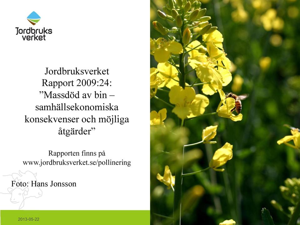 möjliga åtgärder Rapporten finns på www.