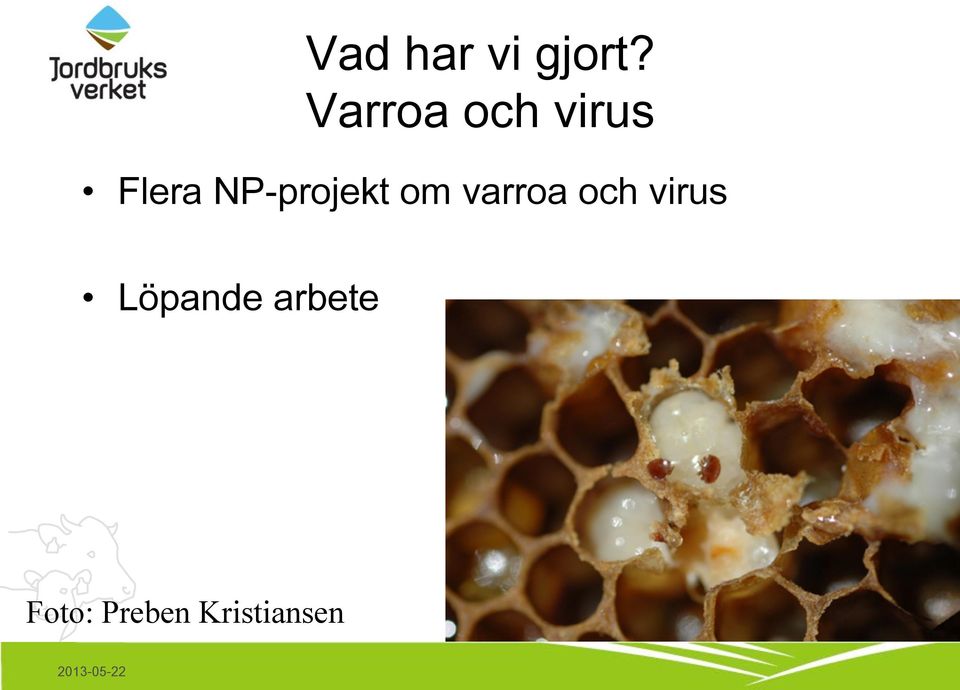 NP-projekt om varroa och