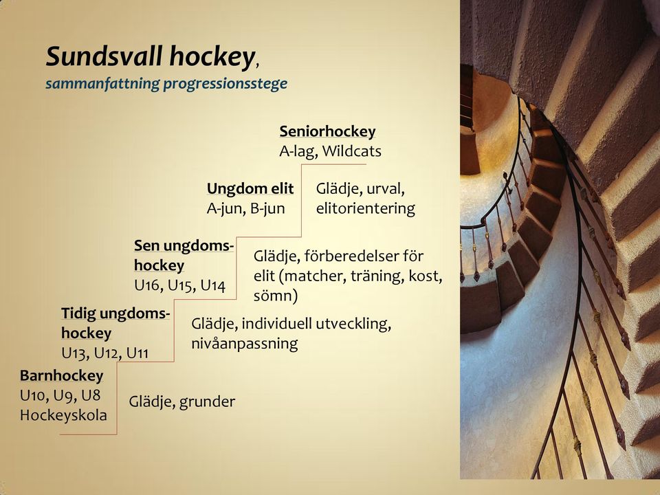 Barnhockey U10, U9, U8 Hockeyskola Sen ungdomshockey U16, U15, U14 Glädje, grunder Glädje,