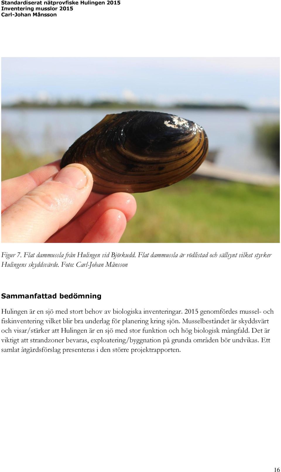 2015 genomfördes mussel- och fiskinventering vilket blir bra underlag för planering kring sjön.