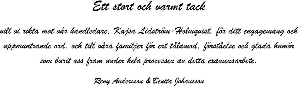 våra familjer för ert tålamod, förståelse och glada humör som burit oss