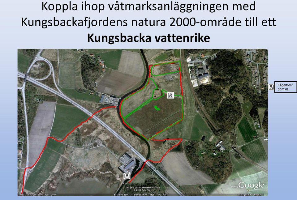 Kungsbackafjordens natura