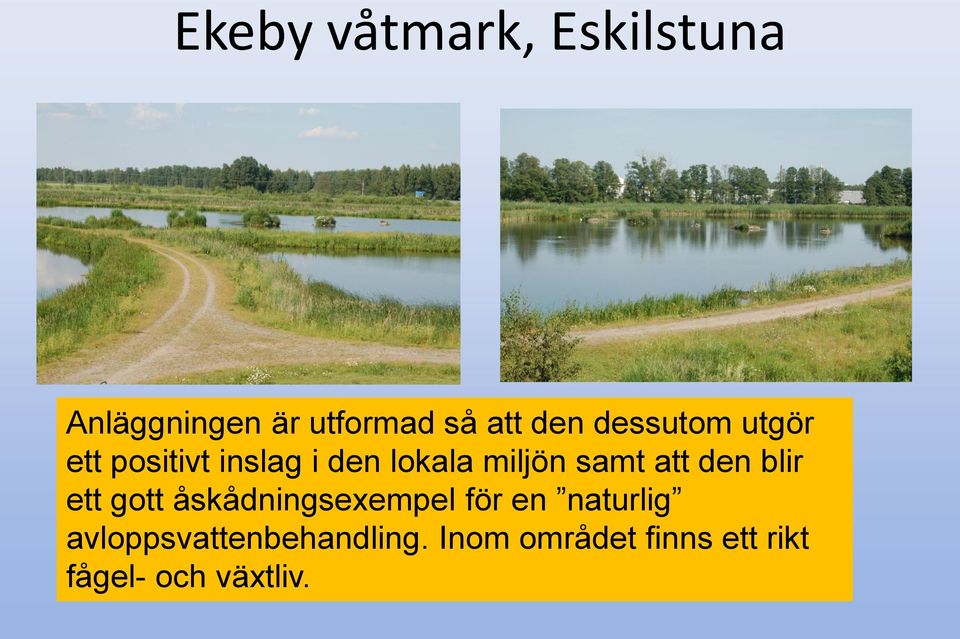 att den blir ett gott åskådningsexempel för en naturlig