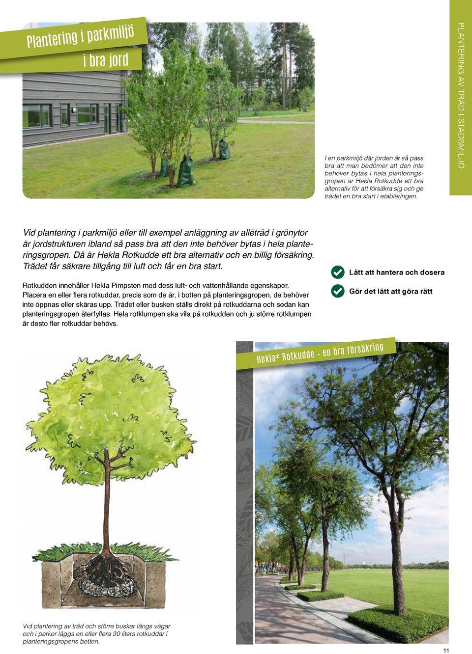 PLANTERING AV TRÄD I STADSMILJÖ Vid plantering i parkmiljö eller till exempel anläggning av alléträd i grönytor är jordstrukturen ibland så pass bra att den inte behöver bytas i hela