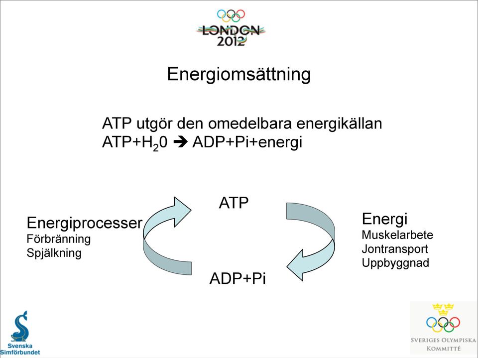 Energiprocesser Förbränning Spjälkning ATP