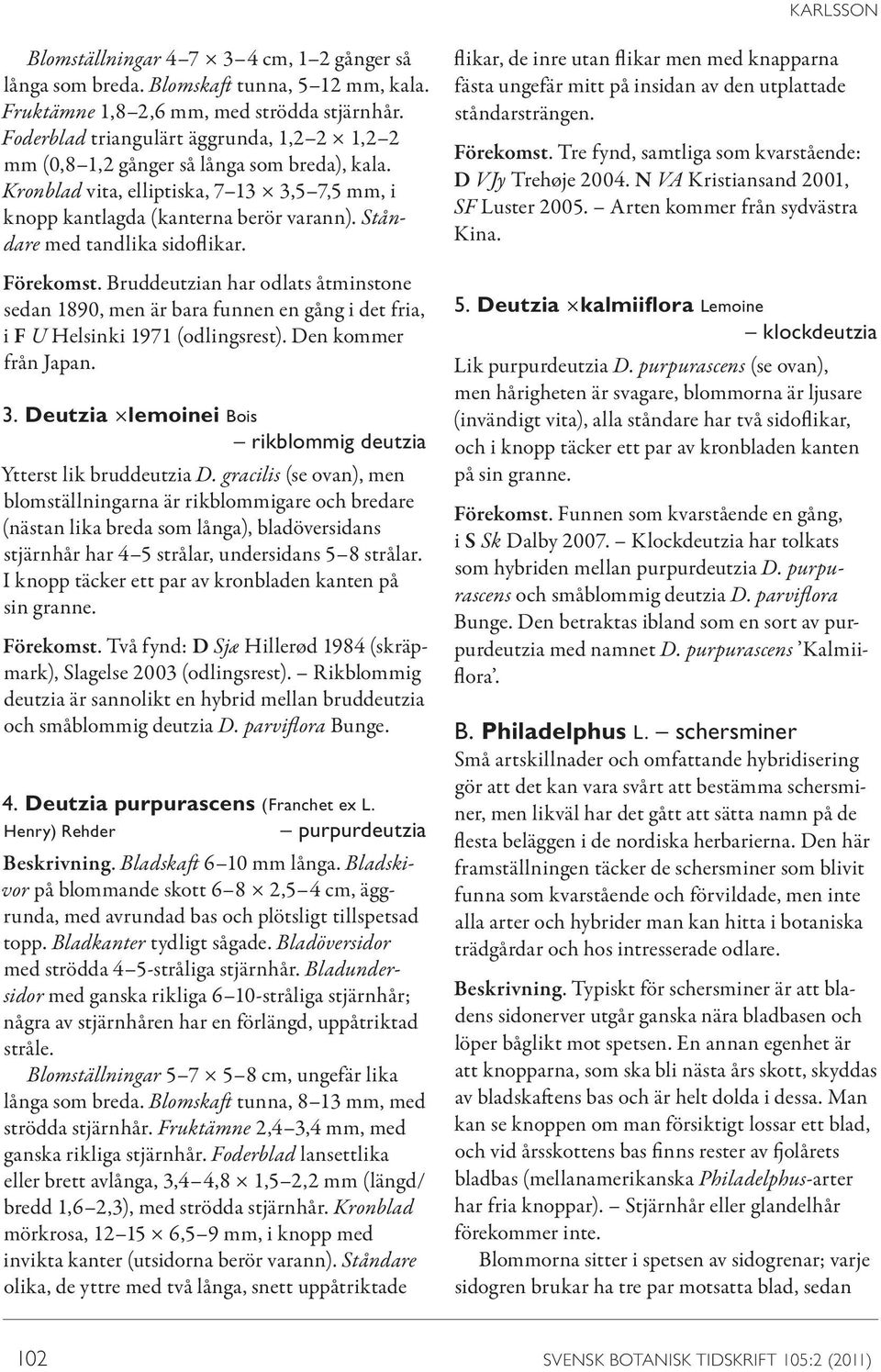 Ståndare med tandlika sidoflikar. Förekomst. Bruddeutzian har odlats åtminstone sedan 1890, men är bara funnen en gång i det fria, i F U Helsinki 1971 (odlingsrest). Den kommer från Japan. 3.