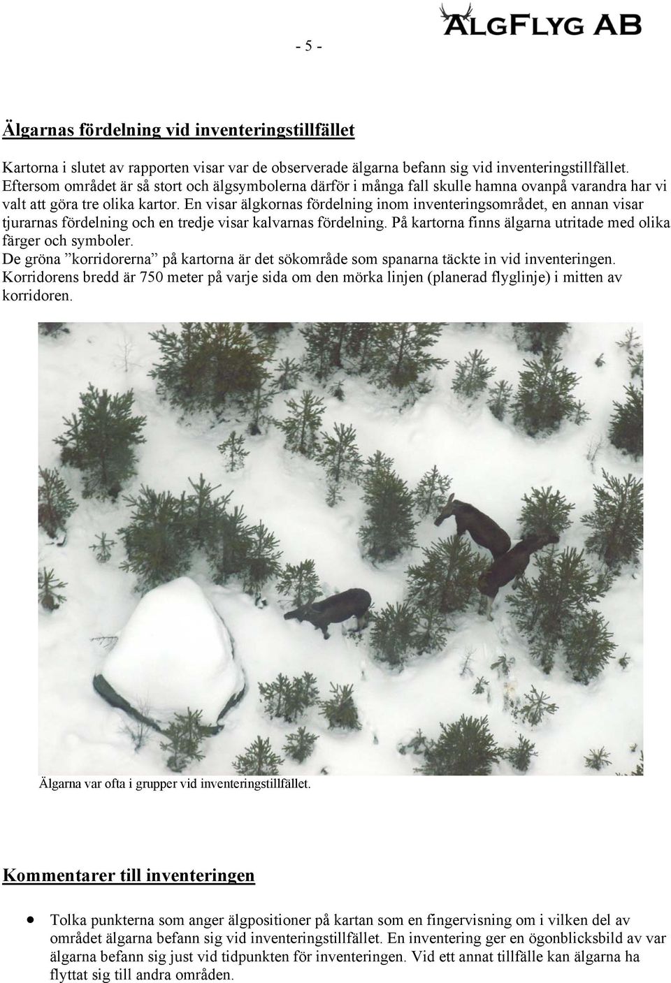En visar älgkornas fördelning inom inventeringsområdet, en annan visar tjurarnas fördelning och en tredje visar kalvarnas fördelning. På kartorna finns älgarna utritade med olika färger och symboler.
