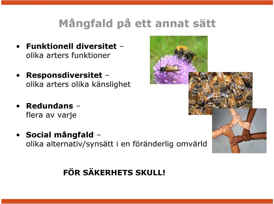 känslighet Redundans flera av varje Social mångfald olika