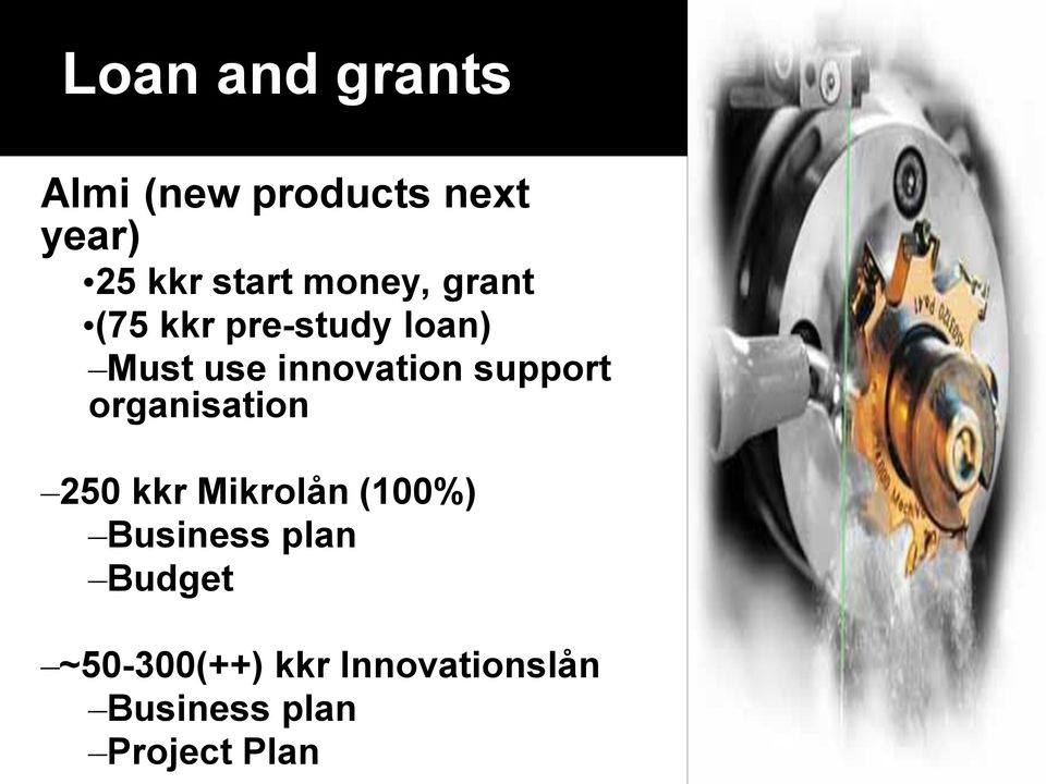 support organisation 250 kkr Mikrolån (100%) Business plan