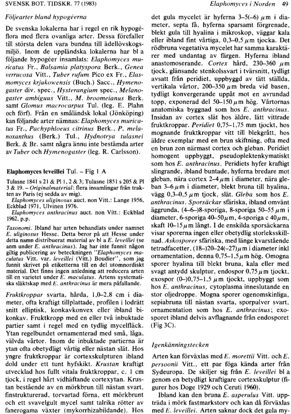 , Genea verrucosa Vitt., Tuber rufum Pico ex Fr., Elasmomyces krjukmvensis (Buch.) Sacc., Hymenogaster div. spec., Hysterangium spec., Melanogaster ambiguus Vitt., M. broomeianus Berk.