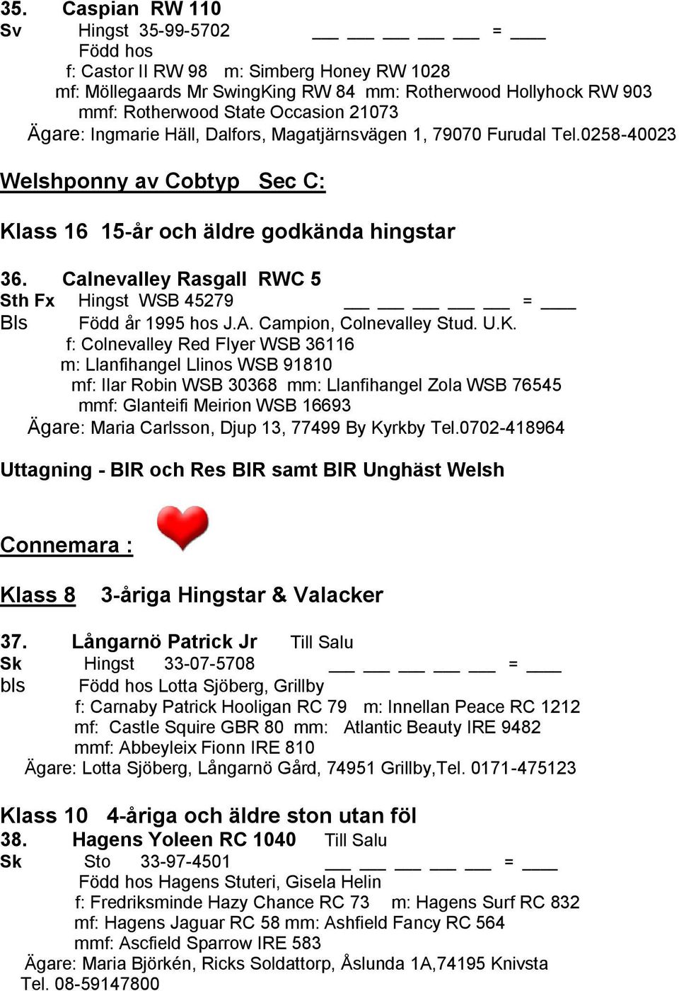 Calnevalley Rasgall RWC 5 Sth Fx Hingst WSB 45279 = Bls Född år 1995 hos J.A. Campion, Colnevalley Stud. U.K.