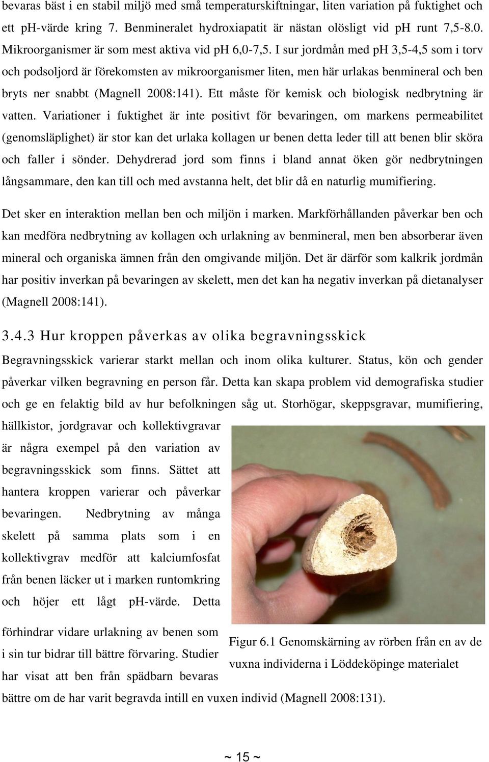 I sur jordmån med ph 3,5-4,5 som i torv och podsoljord är förekomsten av mikroorganismer liten, men här urlakas benmineral och ben bryts ner snabbt (Magnell 2008:141).