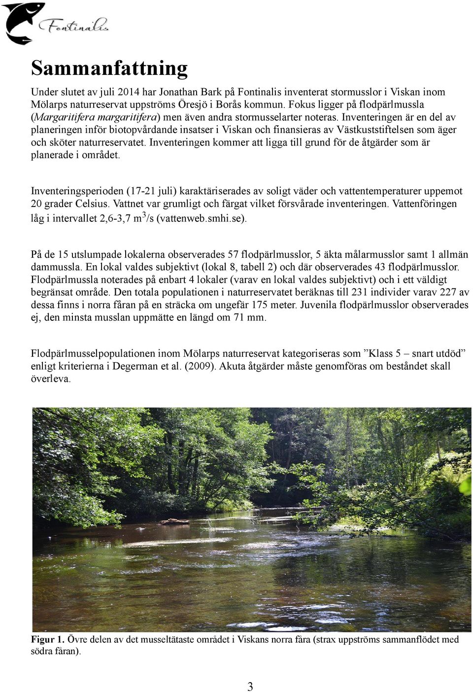 Inventeringen är en del av planeringen inför biotopvårdande insatser i Viskan och finansieras av Västkuststiftelsen som äger och sköter naturreservatet.