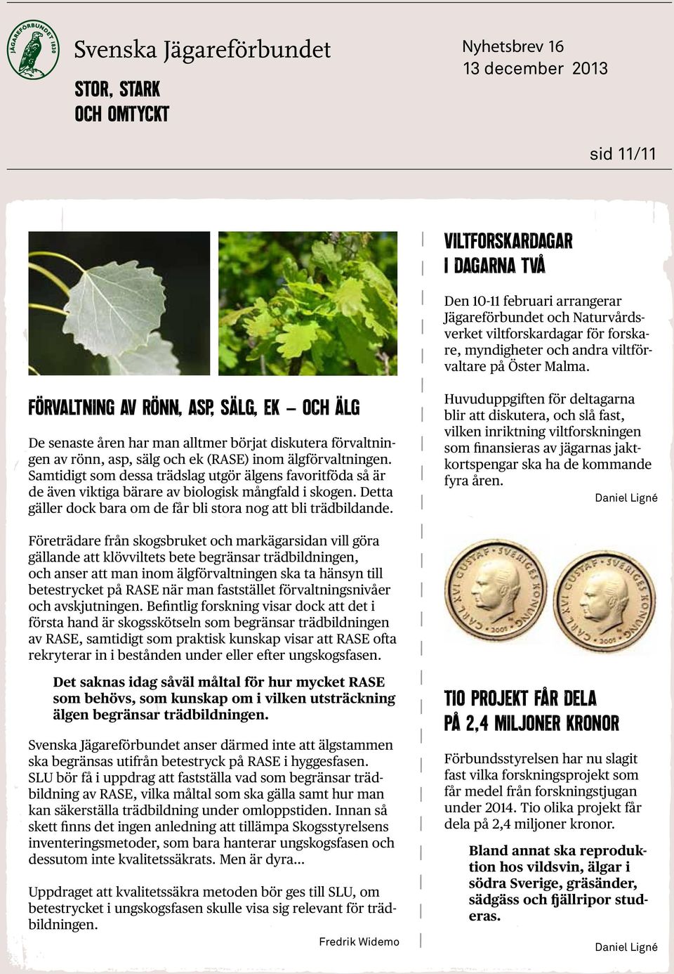 Samtidigt som dessa trädslag utgör älgens favoritföda så är de även viktiga bärare av biologisk mångfald i skogen. Detta gäller dock bara om de får bli stora nog att bli trädbildande.