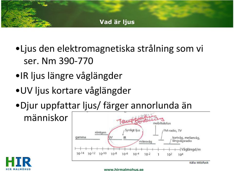 Nm 390-770 IR ljus längre våglängder UV