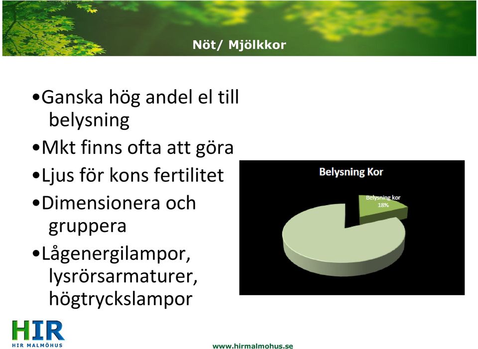 kons fertilitet Dimensionera och gruppera