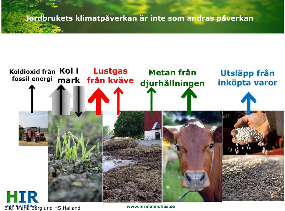 Lustgas från kväve Metan från djurhållningen