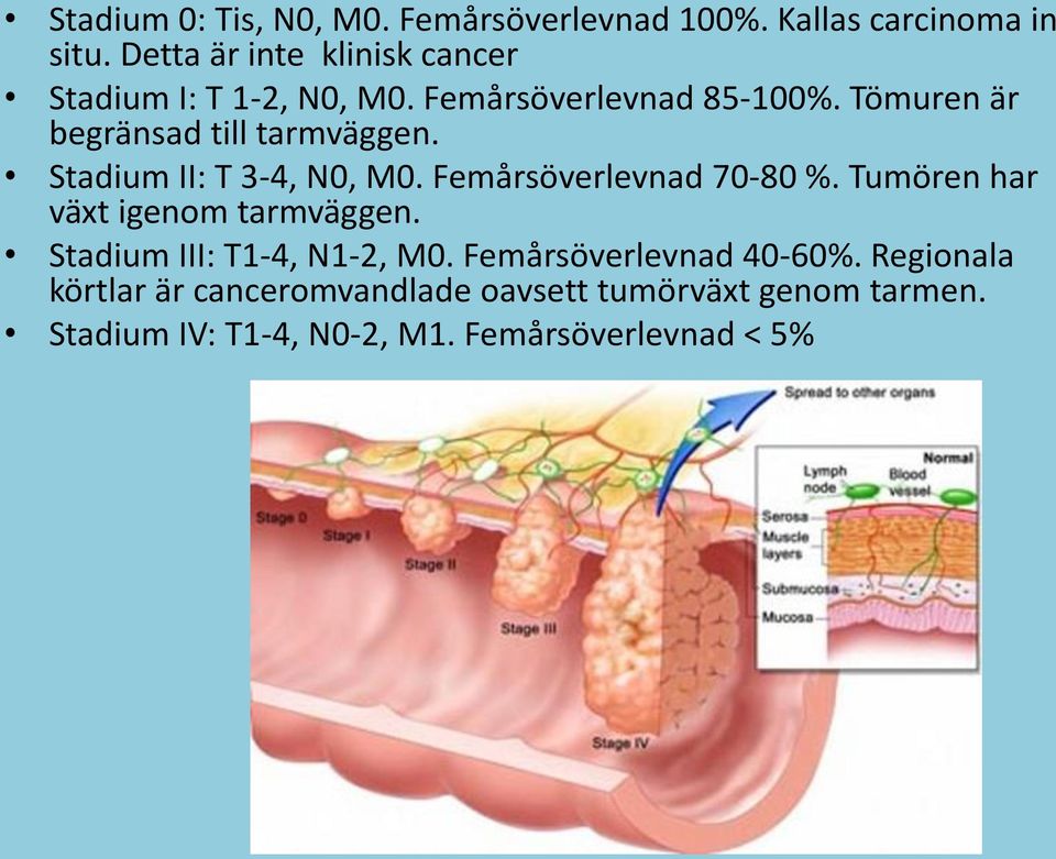 Tömuren är begränsad till tarmväggen. Stadium II: T 3-4, N0, M0. Femårsöverlevnad 70-80 %.