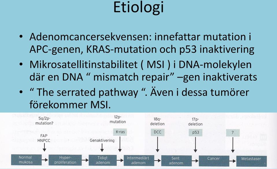 Mikrosatellitinstabilitet ( MSI ) i DNA-molekylen där en DNA