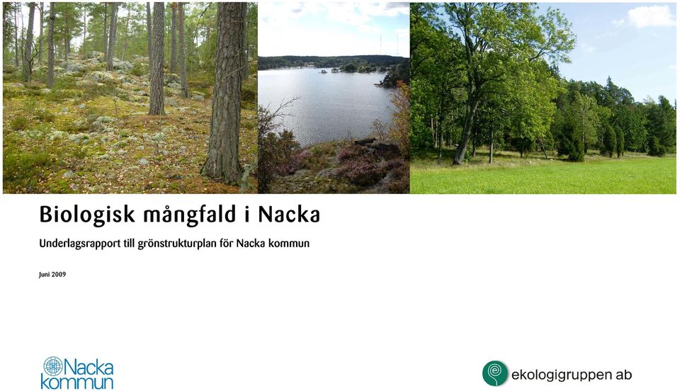 grönstrukturplan
