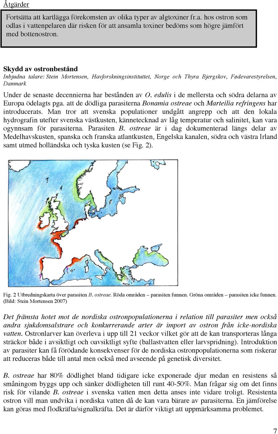 edulis i de mellersta och södra delarna av Europa ödelagts pga. att de dödliga parasiterna Bonamia ostreae och Marteilia refringens har introducerats.