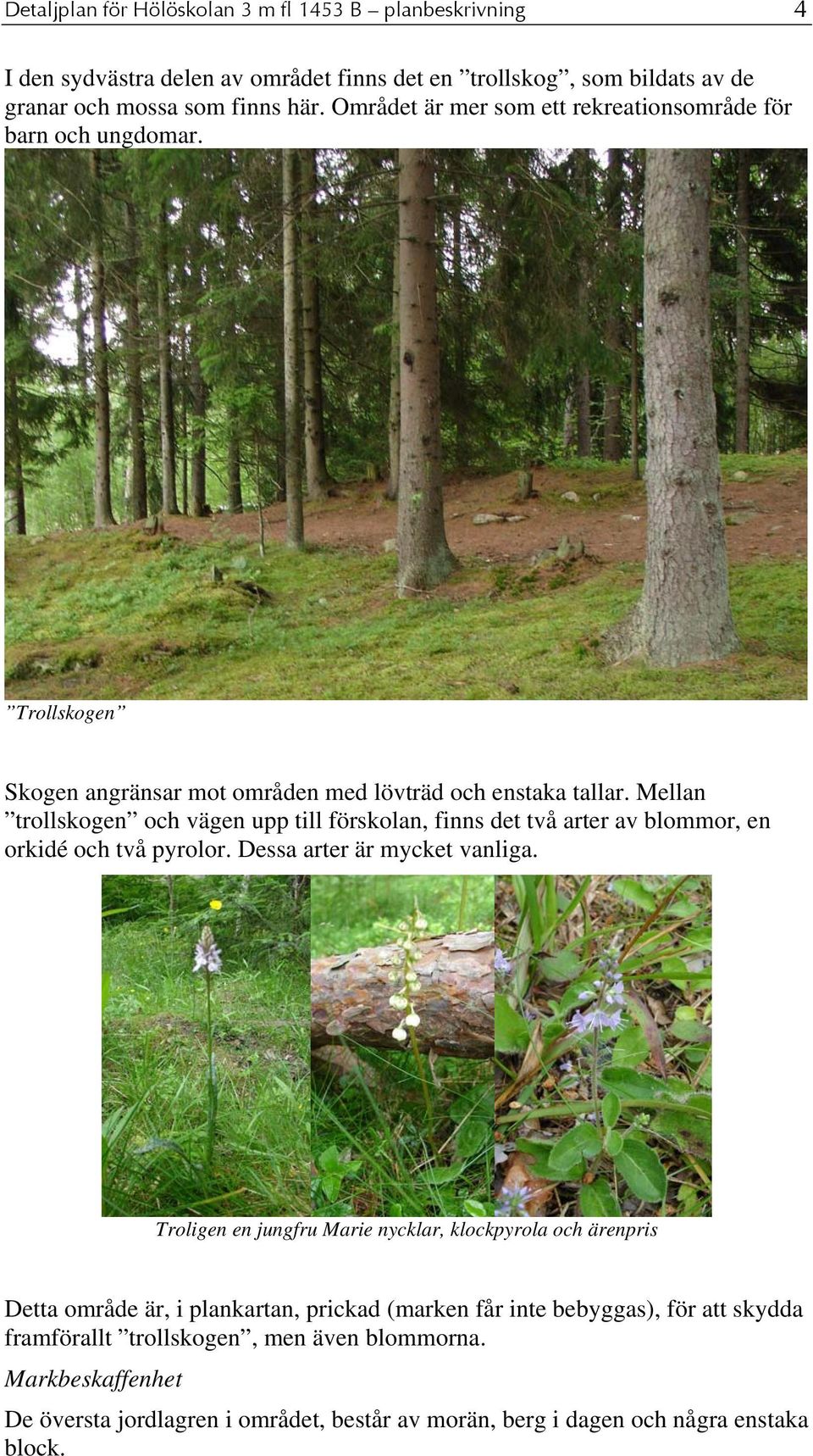 Mellan trollskogen och vägen upp till förskolan, finns det två arter av blommor, en orkidé och två pyrolor. Dessa arter är mycket vanliga.