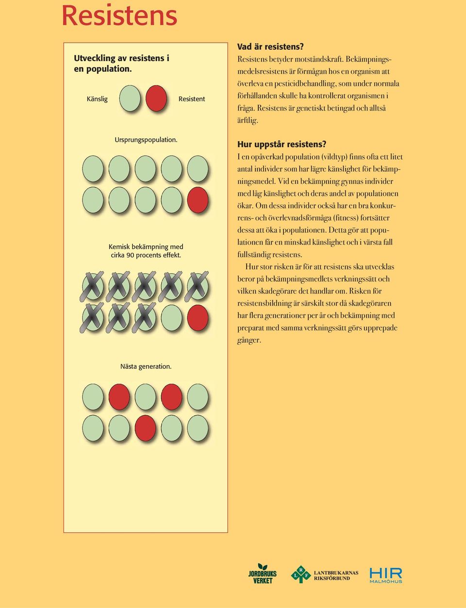 Resistens är genetiskt betingad och alltså ärftlig. Ursprungspopulation. Kemisk bekämpning med cirka 90 procents effekt. Hur uppstår resistens?