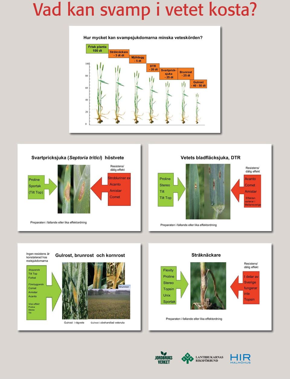 bladfläcksjuka, DTR Resistens/ dålig effekt Resistens/ dålig effekt Proline Sportak (Tilt Top) Strobluriner e Acanto Amistar Comet Proline Stereo Tilt Tilt Top Acanto Comet Amistar Effekten varierar
