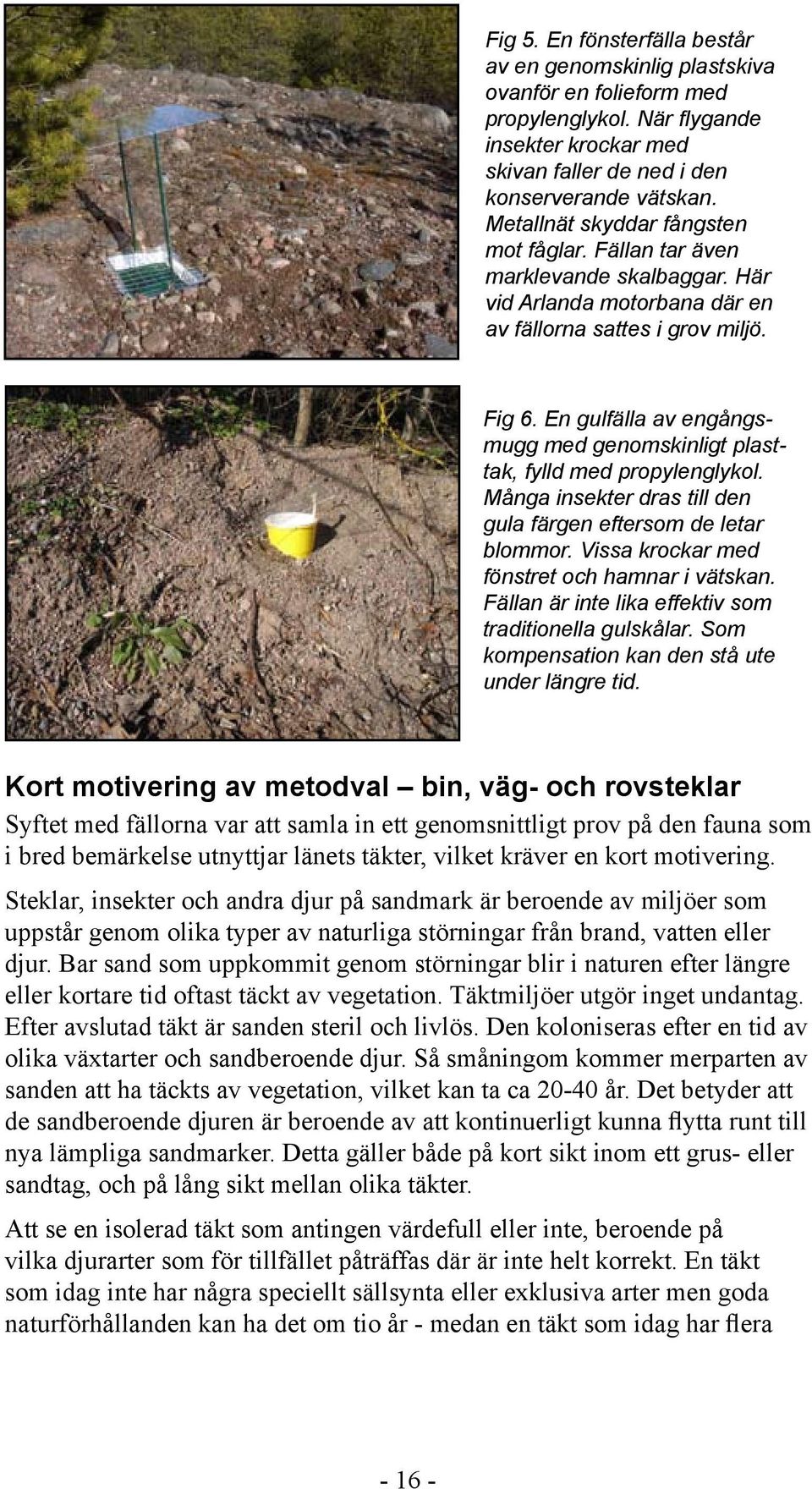 En gulfälla av engångsmugg med genomskinligt plasttak, fylld med propylenglykol. Många insekter dras till den gula färgen eftersom de letar blommor. Vissa krockar med fönstret och hamnar i vätskan.